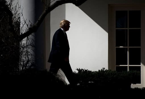 Trump 100 days